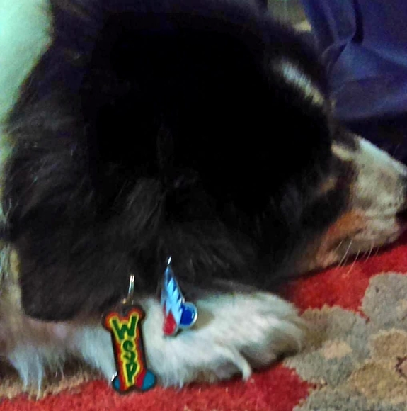 Meet your Posher, Kenny - Picture 1 of 1